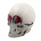 Knopp "Skull"