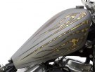 Lucky F*cker TC Softail
