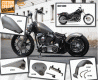 Lucky F*cker TC Softail